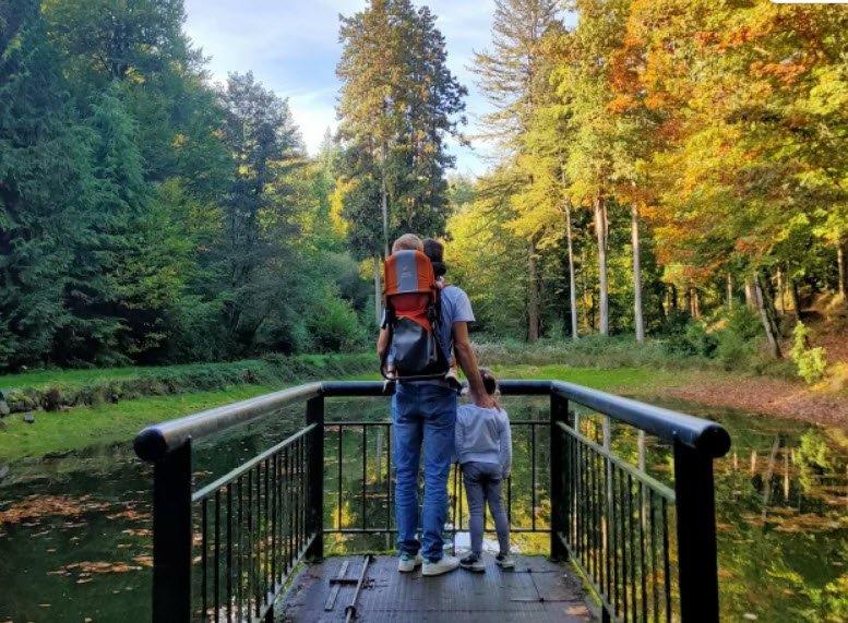 Arboretum Domanial de la Jonchère Saint Maurice, , France